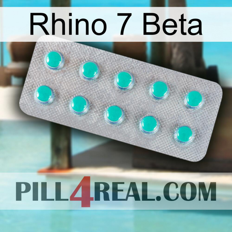Rhino 7 Beta 28